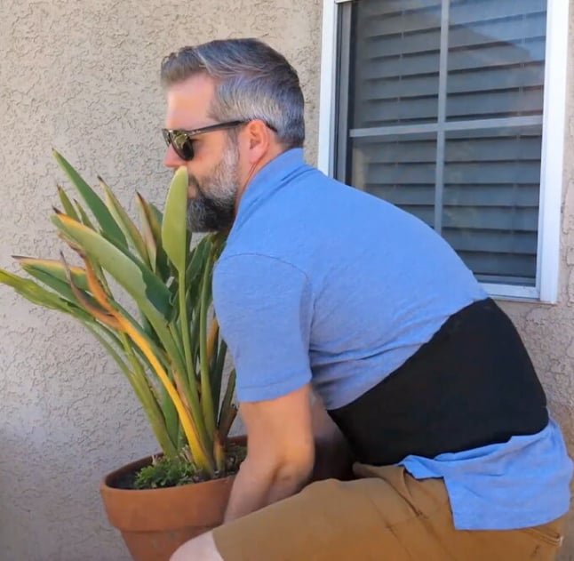 WellaBack Back Brace 4