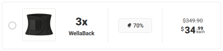 WellaBack Back Brace 16